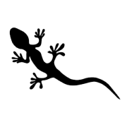 Gecko - Nicola Werdenigg & Onlinerin